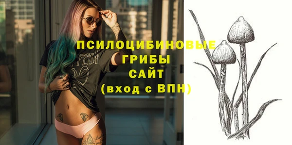 молекула духа Вязьма