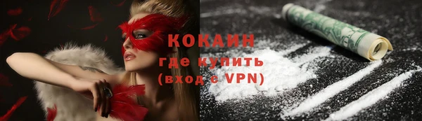 молекула духа Вязьма