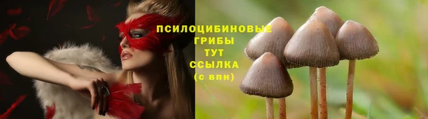 гашик Вязники