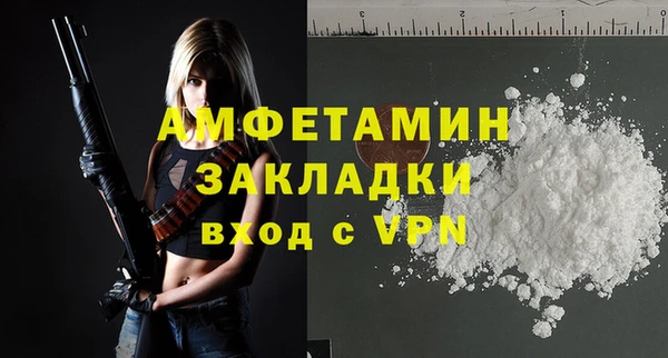 молекула духа Вязьма